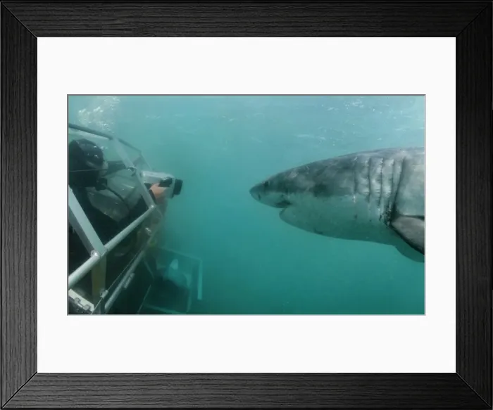 Framed Print : Picture No. 10750315 Framed Print : Picture No. 10750315