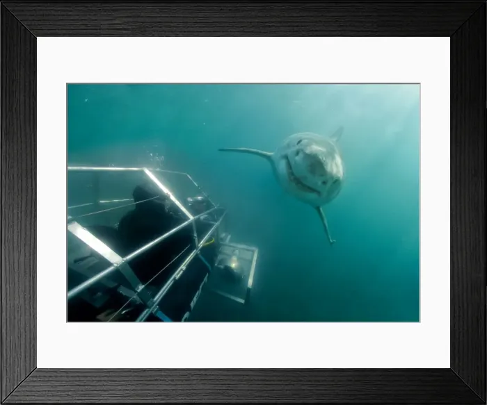 Framed Print : Picture No. 10750319 Framed Print : Picture No. 10750319