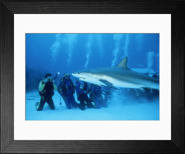 Framed Print : Picture No. 10750341 Framed Print : Picture No. 10750341