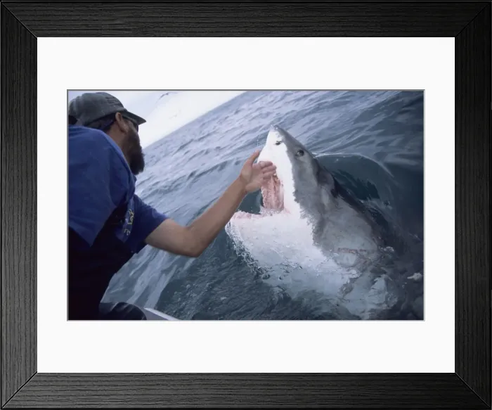 Framed Print : Picture No. 10750327 Framed Print : Picture No. 10750327