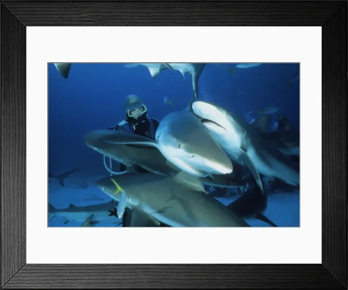 Framed Print : Picture No. 10750340 Framed Print : Picture No. 10750340