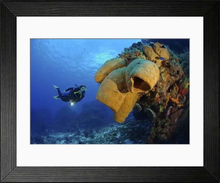 Framed Print : Picture No. 10750372 Framed Print : Picture No. 10750372
