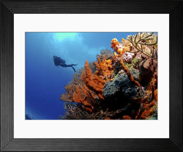 Framed Print : Picture No. 10750379 Framed Print : Picture No. 10750379