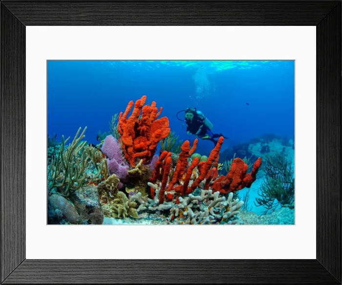 Framed Print : Picture No. 10750391 Framed Print : Picture No. 10750391