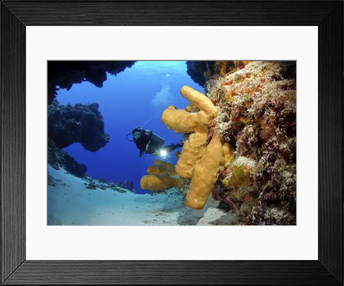 Framed Print : Picture No. 10750382 Framed Print : Picture No. 10750382