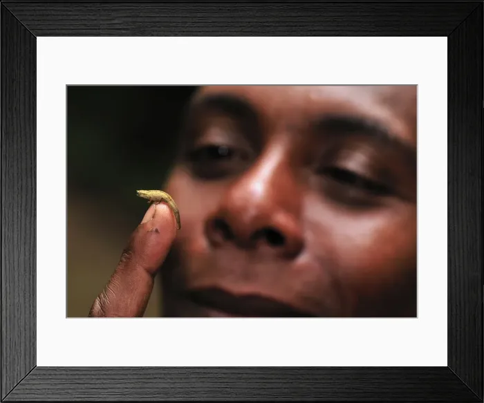 Framed Print : Picture No. 10750503 Framed Print : Picture No. 10750503