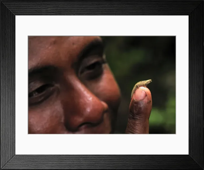 Framed Print : Picture No. 10750505 Framed Print : Picture No. 10750505