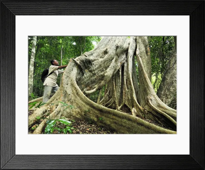 Framed Print : Picture No. 10750558 Framed Print : Picture No. 10750558