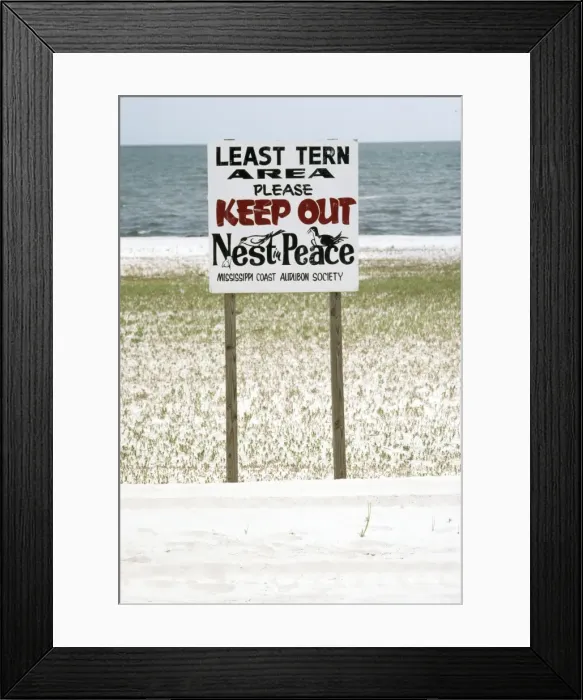 Framed Print : Picture No. 10735150 Framed Print : Picture No. 10735150