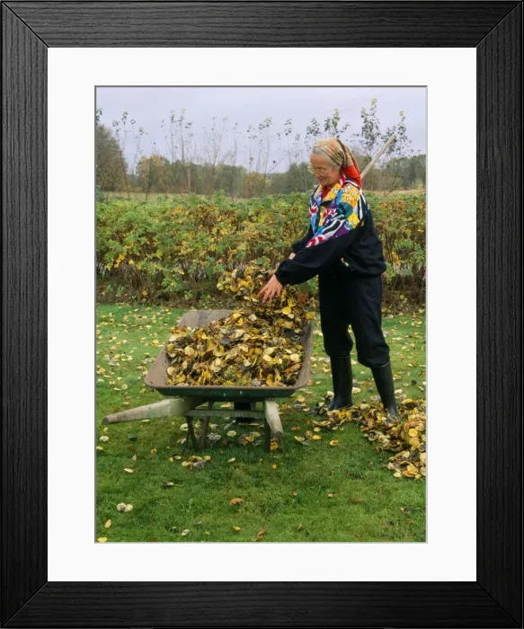 Framed Print : Picture No. 10732101 Framed Print : Picture No. 10732101