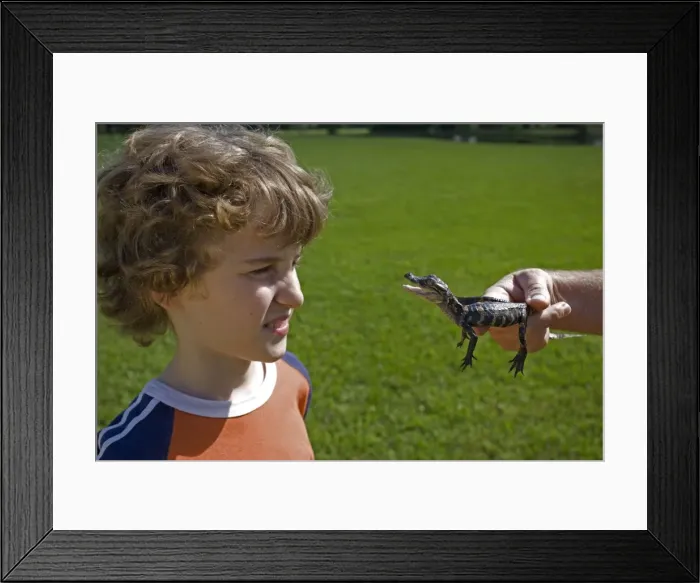Framed Print : Picture No. 10735504 Framed Print : Picture No. 10735504
