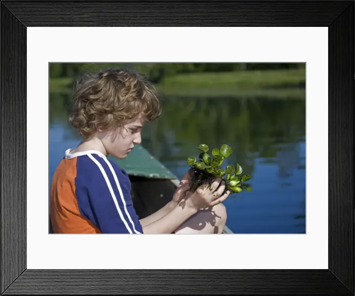 Framed Print : Picture No. 10735503 Framed Print : Picture No. 10735503
