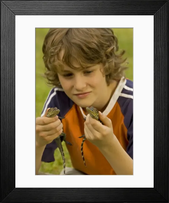 Framed Print : Picture No. 10735920 Framed Print : Picture No. 10735920