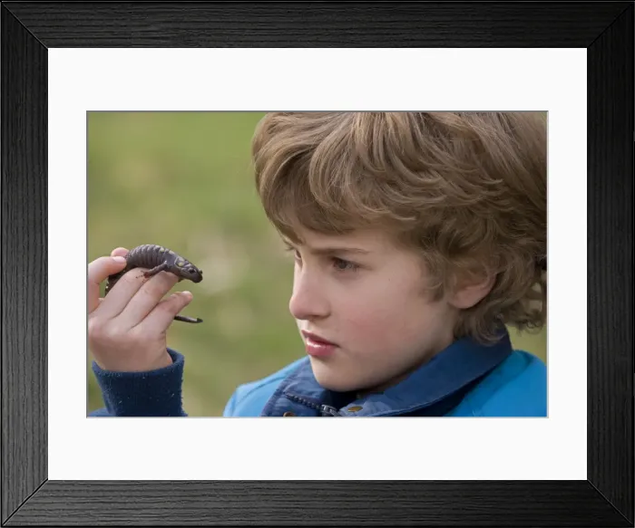 Framed Print : Picture No. 10735407 Framed Print : Picture No. 10735407