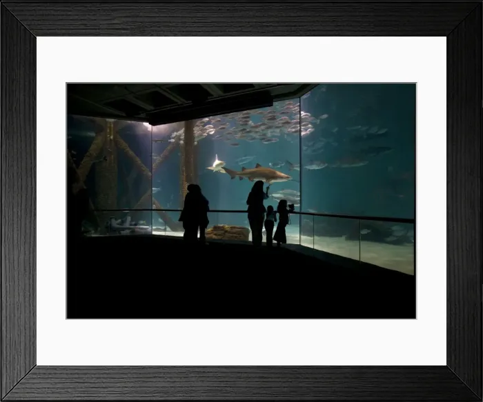 Framed Print : Picture No. 10735160