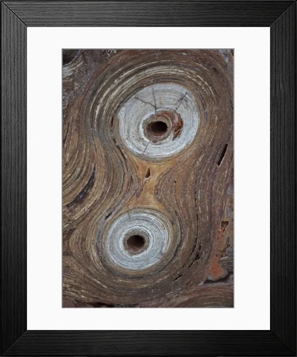 Framed Print : Picture No. 10736032