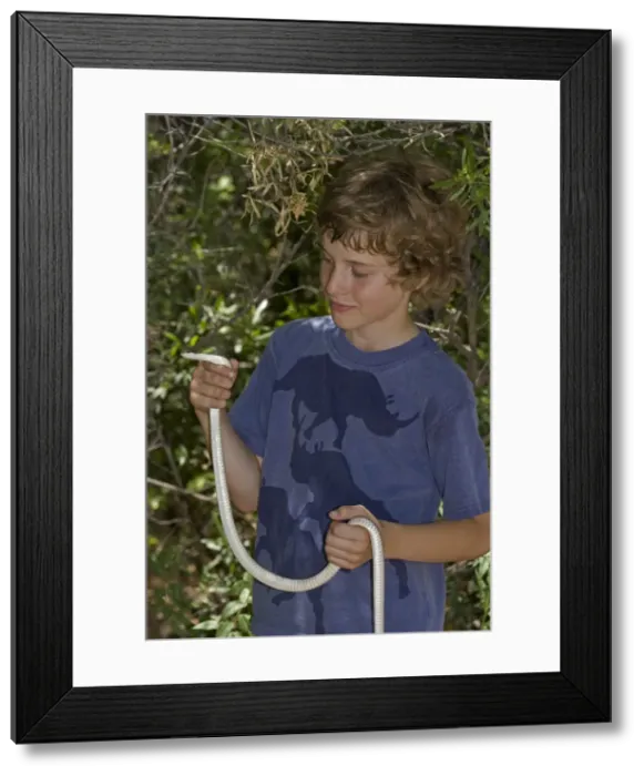 Framed Print : Picture No. 10735464 Framed Print : Picture No. 10735464