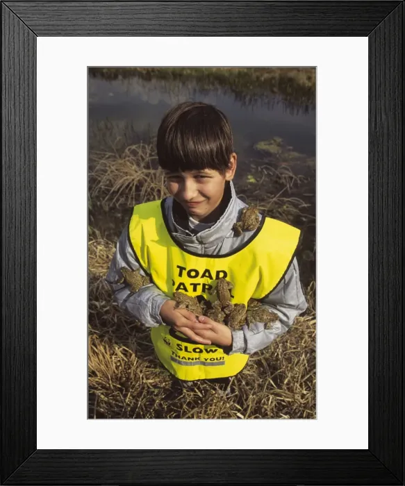 Framed Print : Picture No. 10735334 Framed Print : Picture No. 10735334