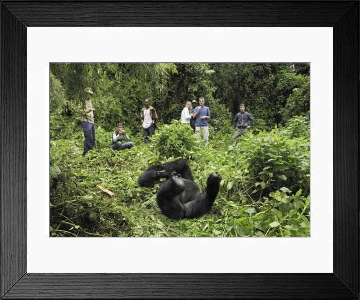 Framed Print : Picture No. 10751529 Framed Print : Picture No. 10751529