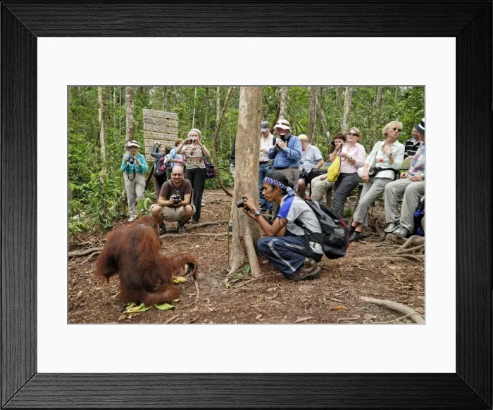 Framed Print : Picture No. 10751641 Framed Print : Picture No. 10751641