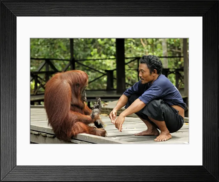 Framed Print : Picture No. 10751850 Framed Print : Picture No. 10751850