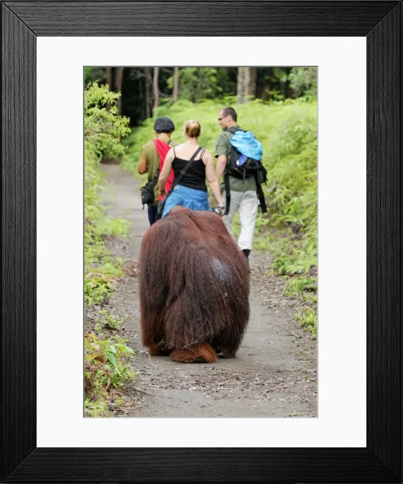 Framed Print : Picture No. 10751963 Framed Print : Picture No. 10751963