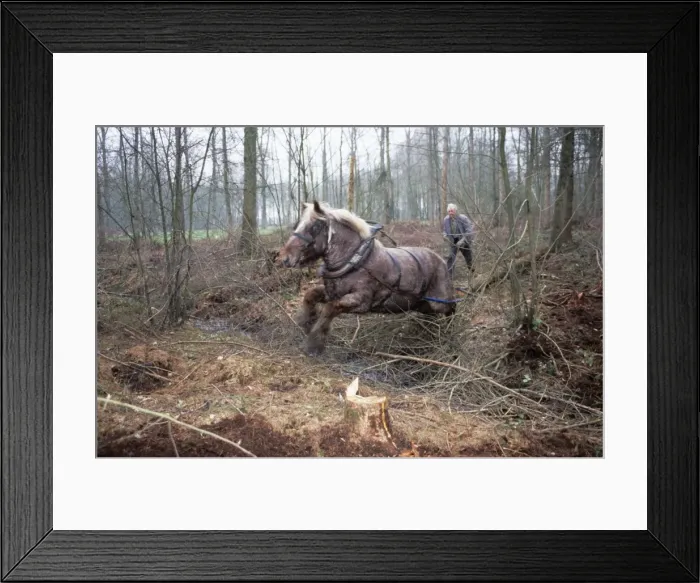 Framed Print : Picture No. 10752120 Framed Print : Picture No. 10752120