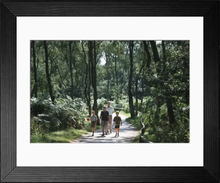 Framed Print : Picture No. 10752155 Framed Print : Picture No. 10752155