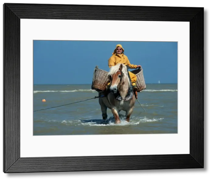 Framed Print : Picture No. 10752168 Framed Print : Picture No. 10752168