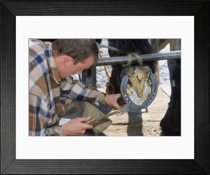 Framed Print : Picture No. 10752108 Framed Print : Picture No. 10752108