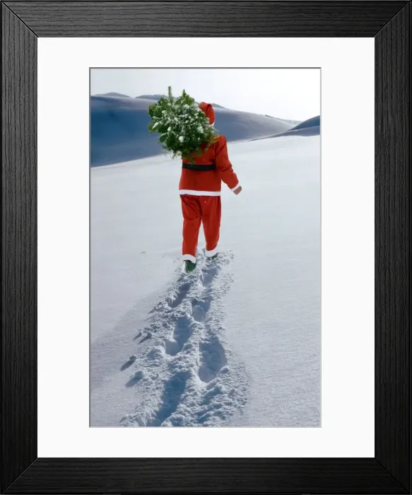 Framed Print : Picture No. 10752212 Framed Print : Picture No. 10752212