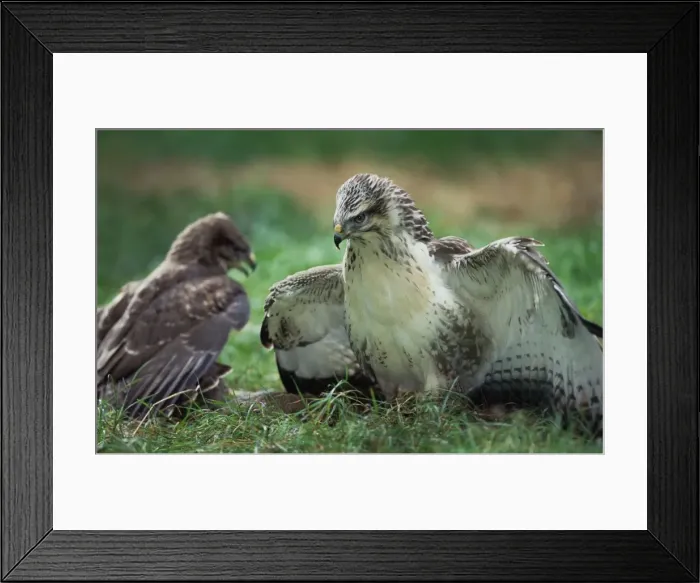 Framed Print : Picture No. 10752188 Framed Print : Picture No. 10752188