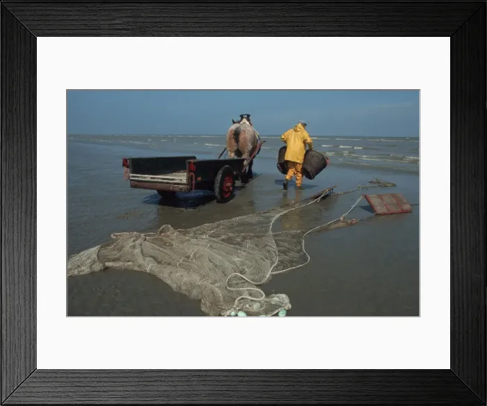 Framed Print : Picture No. 10752231 Framed Print : Picture No. 10752231