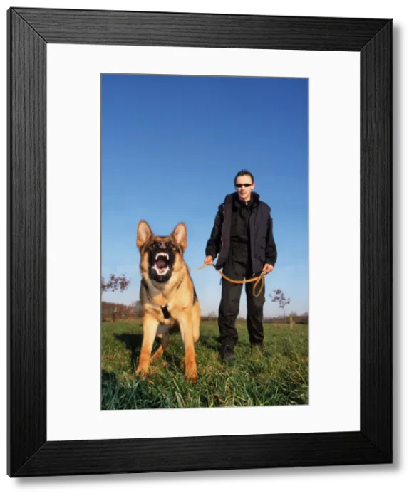 Framed Print : Picture No. 10752294 Framed Print : Picture No. 10752294