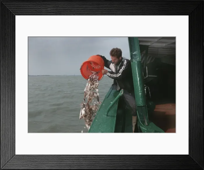 Framed Print : Picture No. 10752232
