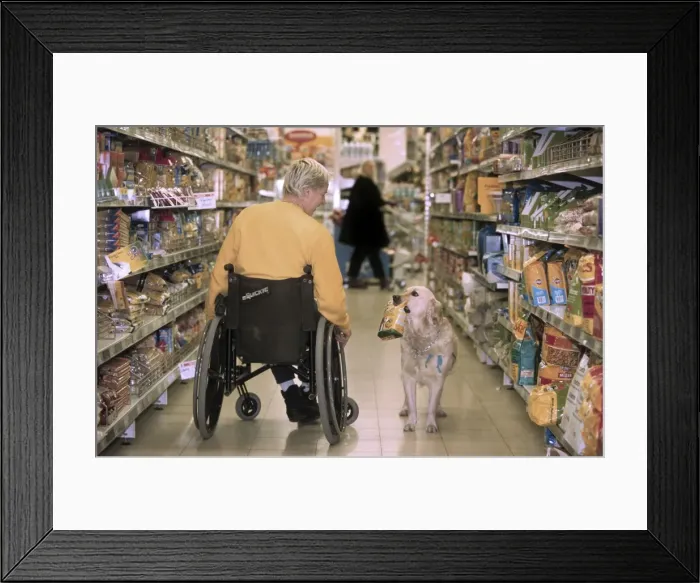 Framed Print : Picture No. 10752381