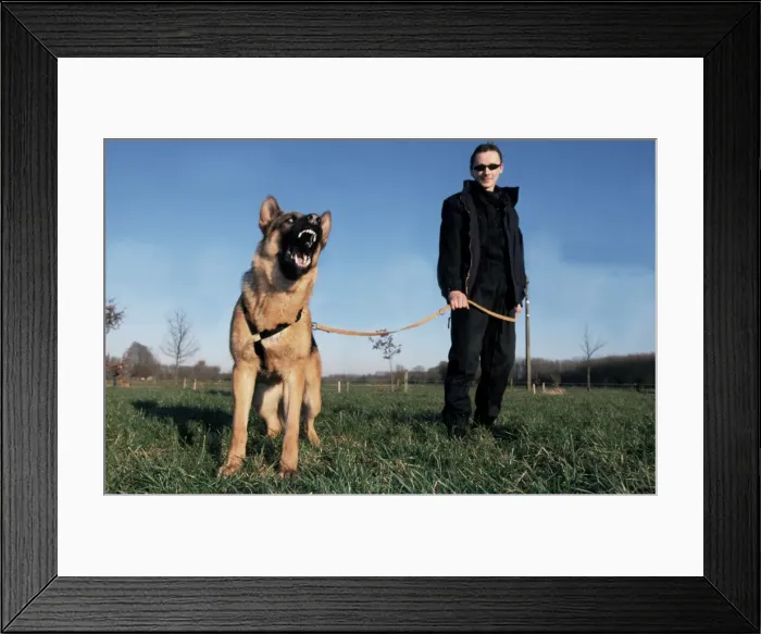 Framed Print : Picture No. 10752382 Framed Print : Picture No. 10752382