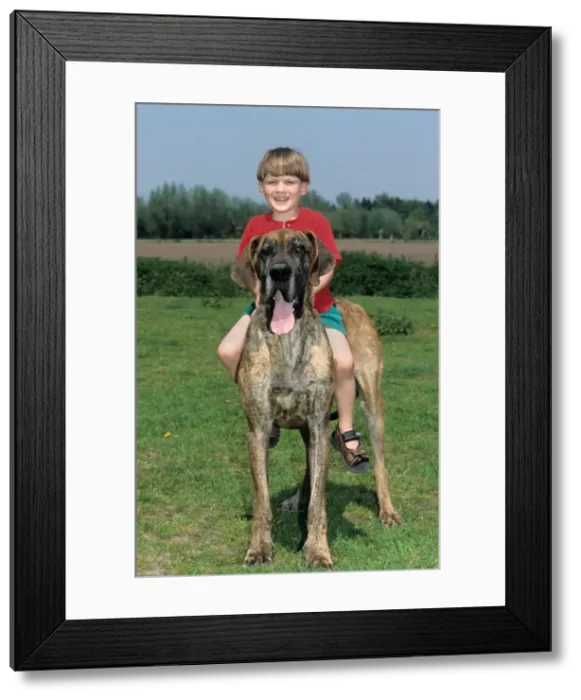 Framed Print : Picture No. 10752291 Framed Print : Picture No. 10752291