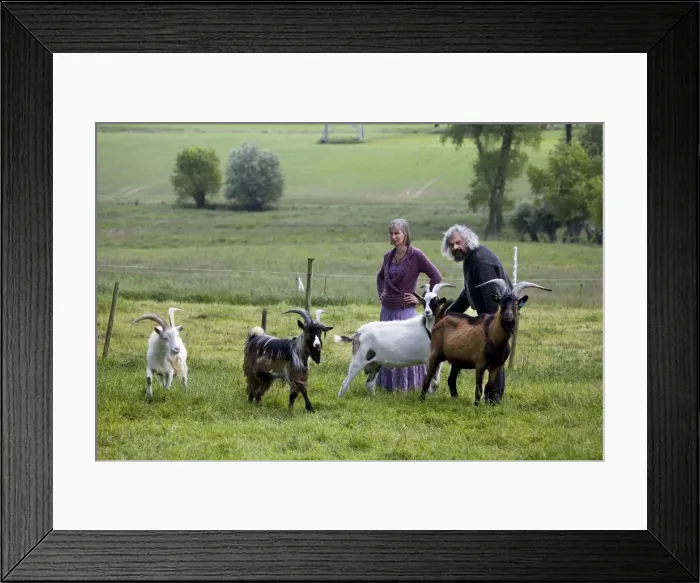 Framed Print : Picture No. 10752386 Framed Print : Picture No. 10752386