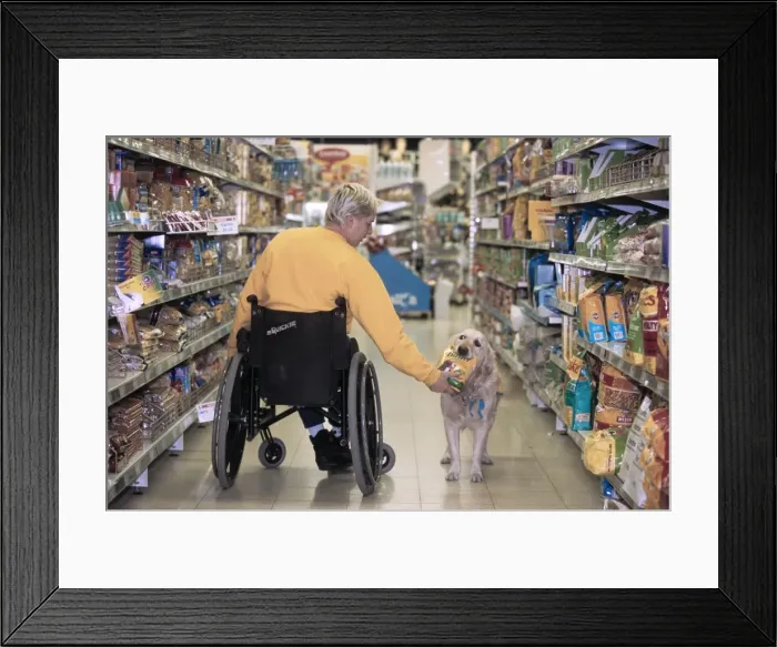 Framed Print : Picture No. 10752405