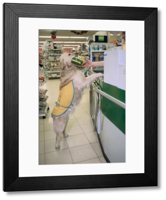 Framed Print : Picture No. 10752407