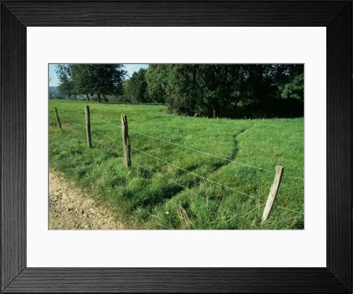 Framed Print : Picture No. 10752383 Framed Print : Picture No. 10752383