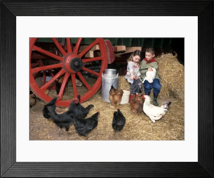 Framed Print : Picture No. 10752418 Framed Print : Picture No. 10752418
