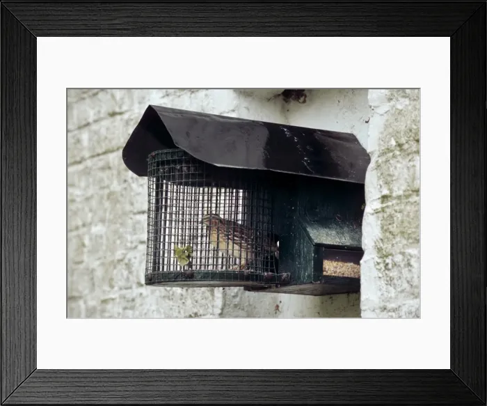 Framed Print : Picture No. 10752409 Framed Print : Picture No. 10752409