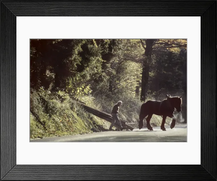 Framed Print : Picture No. 10752435 Framed Print : Picture No. 10752435