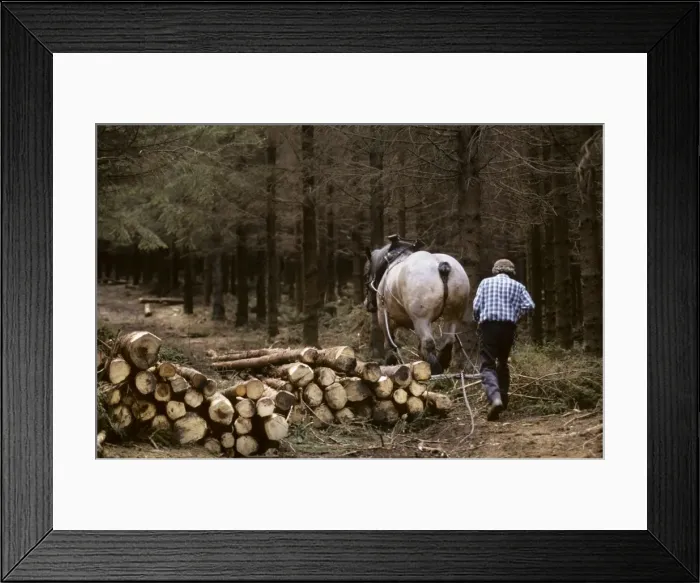 Framed Print : Picture No. 10752436 Framed Print : Picture No. 10752436