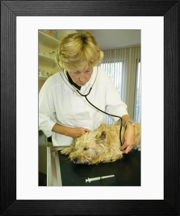 Framed Print : Picture No. 10752448 Framed Print : Picture No. 10752448