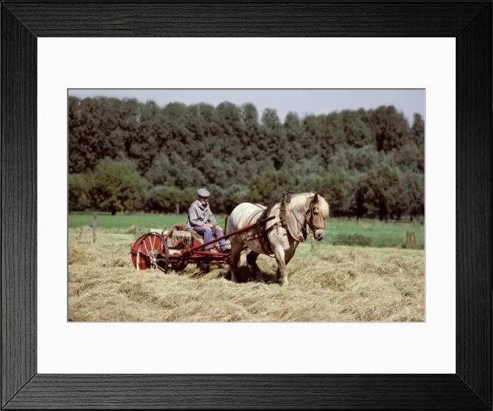 Framed Print : Picture No. 10752431 Framed Print : Picture No. 10752431
