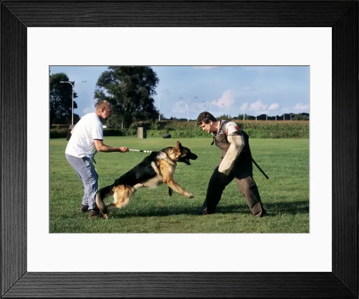 Framed Print : Picture No. 10752427 Framed Print : Picture No. 10752427