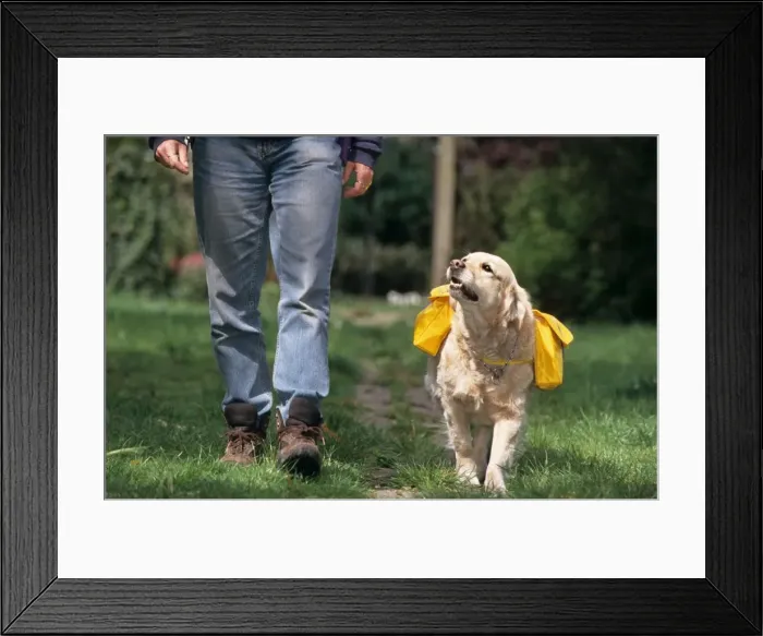 Framed Print : Picture No. 10752451 Framed Print : Picture No. 10752451